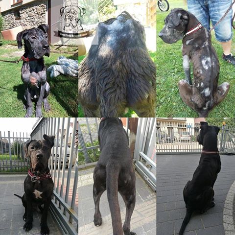 Tak to Kochani nasz Gladiator-Maximus :)